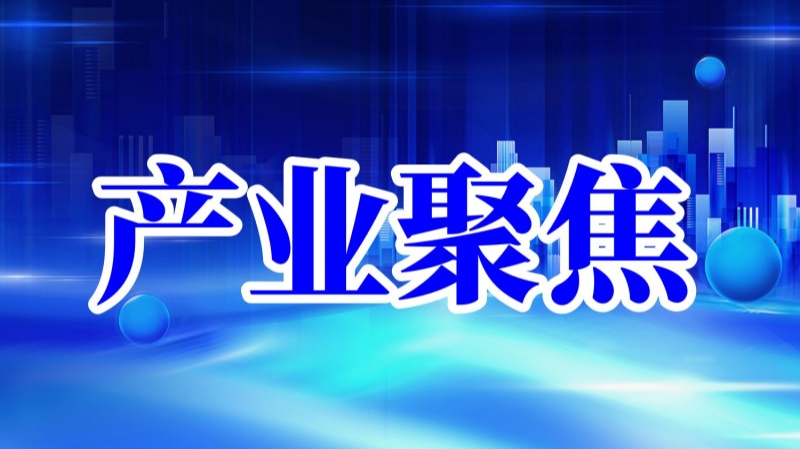 11万列中欧班列，解码开放与发展的时代密码