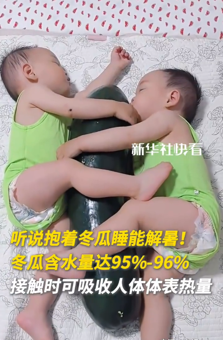 中医推荐夏日降暑奇招：抱冬瓜睡觉！含水量高达96% 洗净不削皮