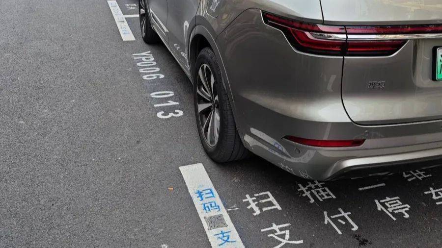 上海市民吐槽：路边停车让后排人下车，仅12秒也被收费……