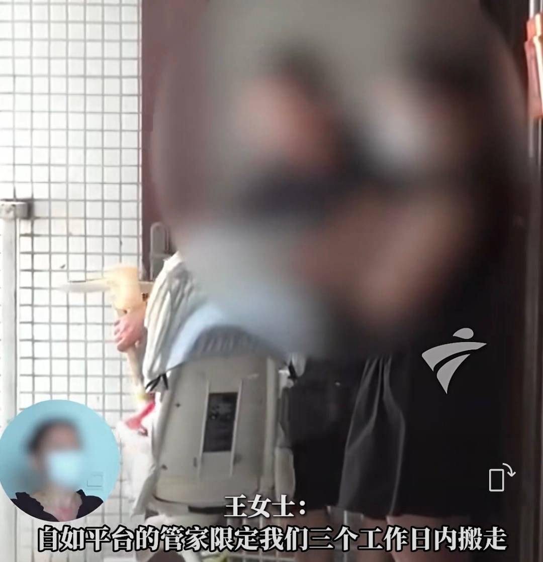 夫妻合租生娃被房东赶出？回应
