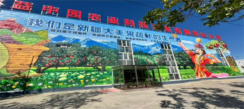 真宜健：以科技为翼，铸就新疆农业品牌新高度