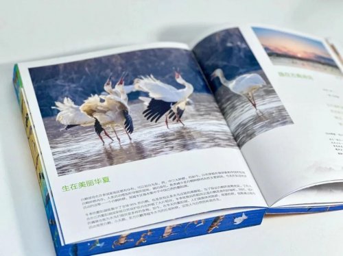 视觉中国助力合作伙伴图书入选“2025年度国家出版基金项目”